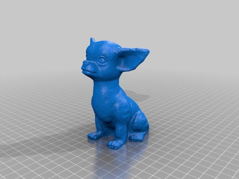 Chihuahua