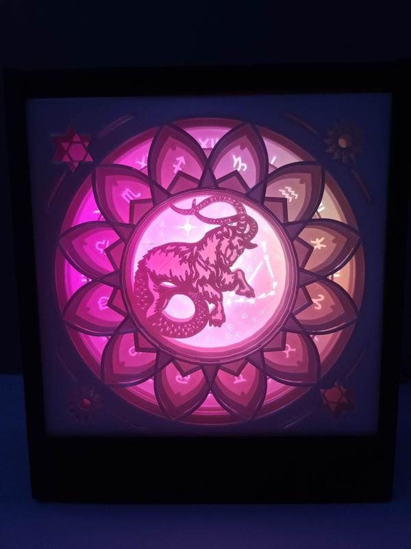 Shadow Box Zodiac Sign Capricorn