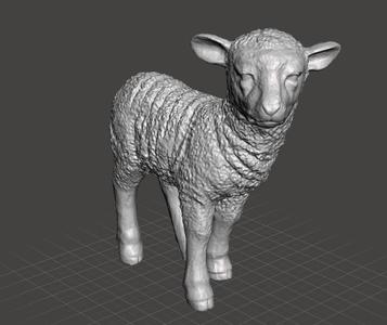Lamb 3d Model
