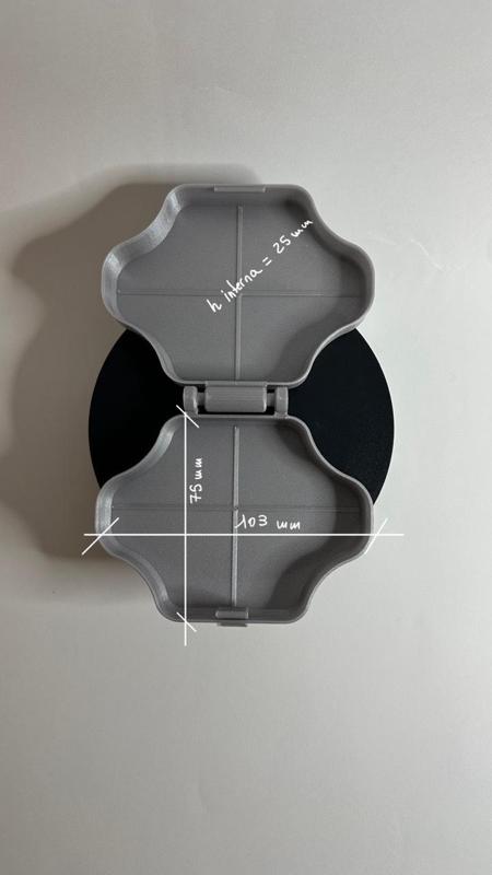 Raynox Macro Lens Case