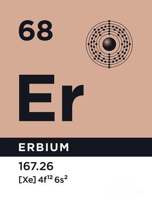 CANON 70-300 mm 1:4-5.6 L IS USM lens fix