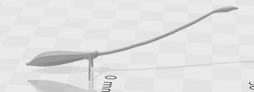 harry potter nimbus 2001