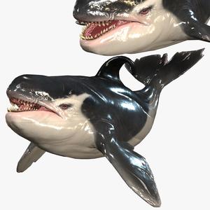 Download WHALE ORCA SHARK Fish River water Rigged game ready 3D Model ANIMATED PRINTABLE