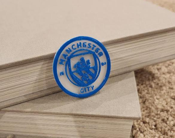 Man City Logo