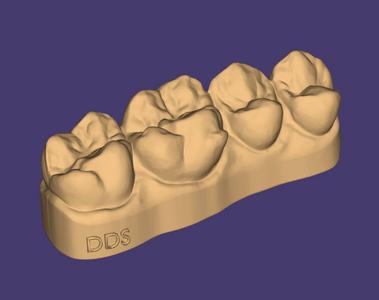 Dental Training Model