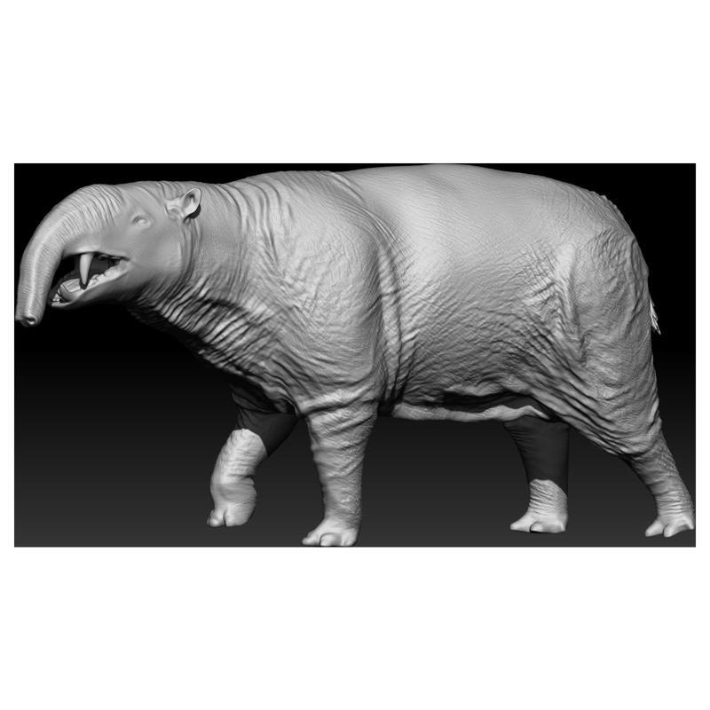 Hilarcotherium