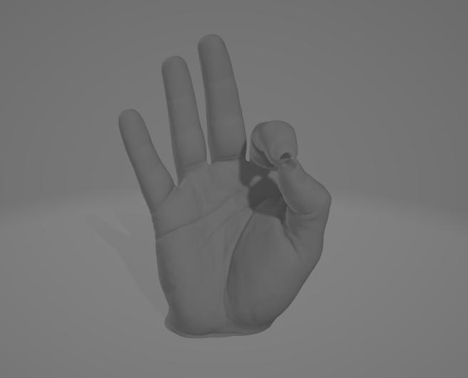 Hand 3D