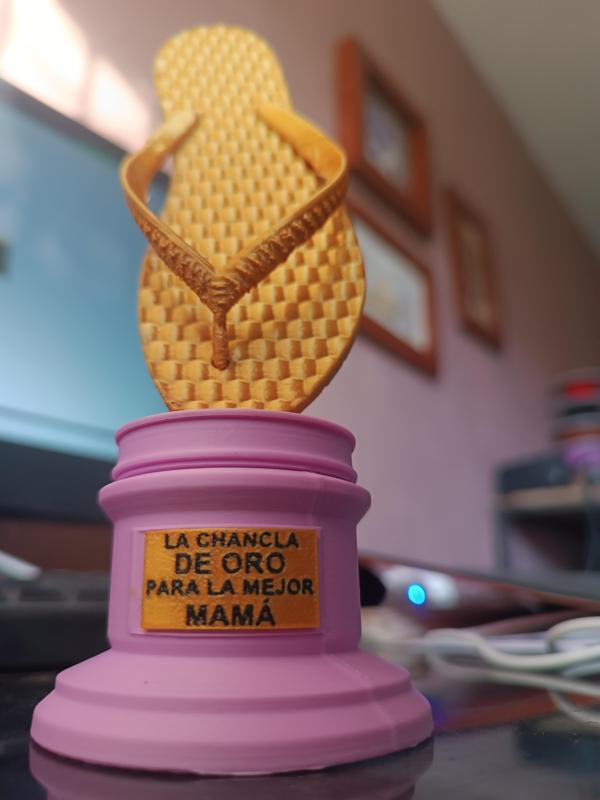 Trofeo Dia de las madres Chancla de oro
