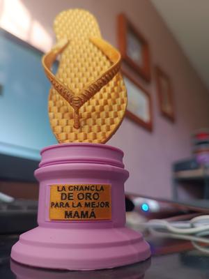 Trofeo Dia de las madres Chancla de oro