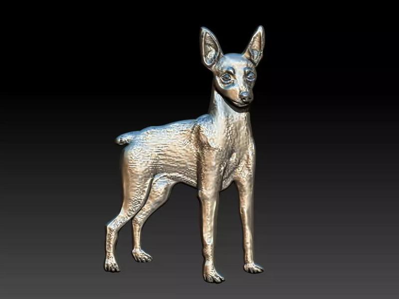 Pinscher Dog Relief