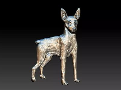 Pinscher Dog Relief