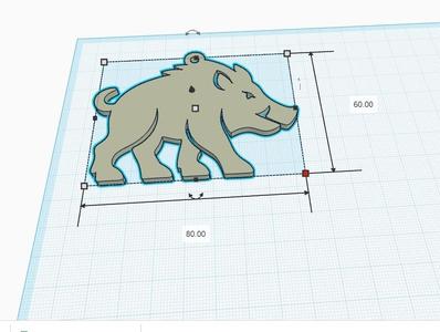 Wild boar - 01