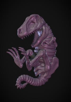 REXBOTLE