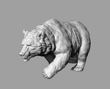 The Bear 3D