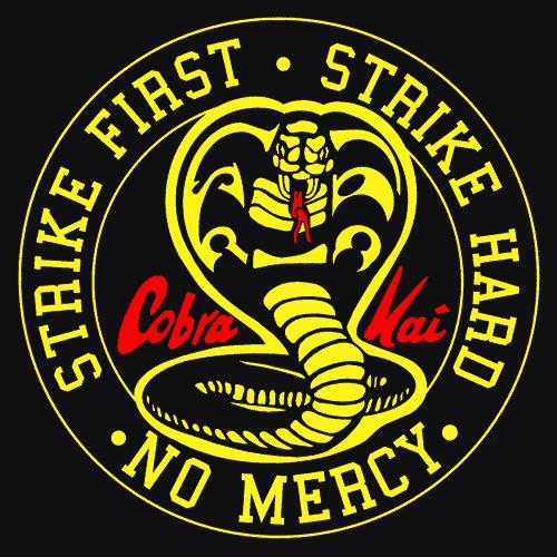 Cobra Kai Lithophane