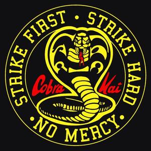 Cobra Kai Lithophane
