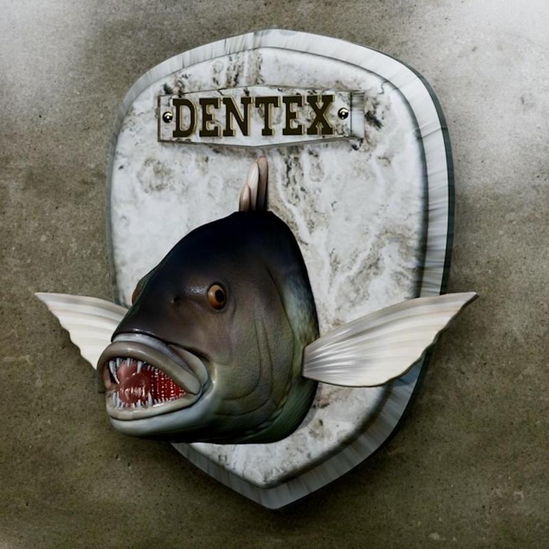 fish head trophy Common dentex / dentex dentex open mouth statue detailed texture for 3d printing