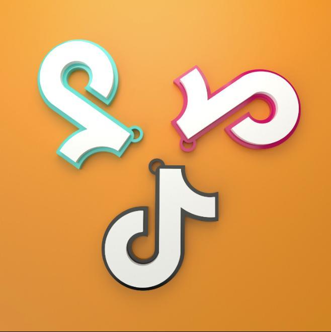 TikTok Keychain