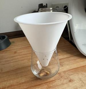 Fruit Fly Trap