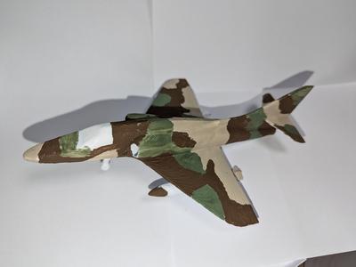 Sky hawk