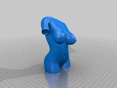 Female torso