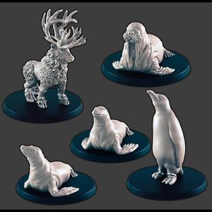 Arctic Creatures [Support-free]