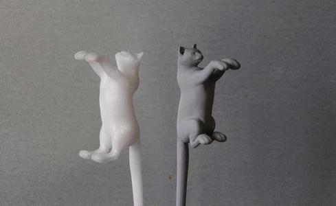 Cat Back Scratcher