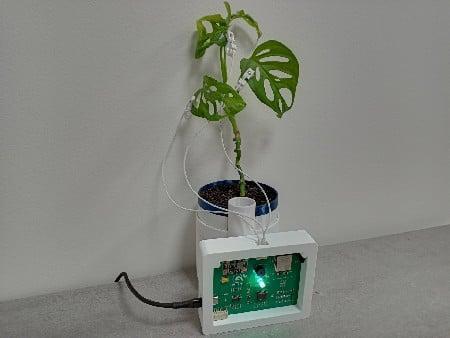 Electrophytograph - measuring plant emotions