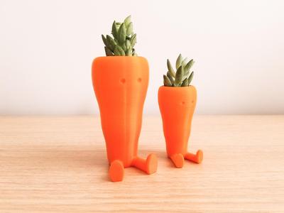 Cute Carrot Shaped Suculent planter