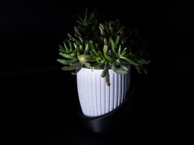 Doric Flower Vase Planter by JDL