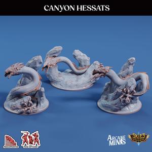 Canyon Hessats