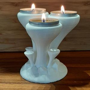 Candlestick Mushrooms