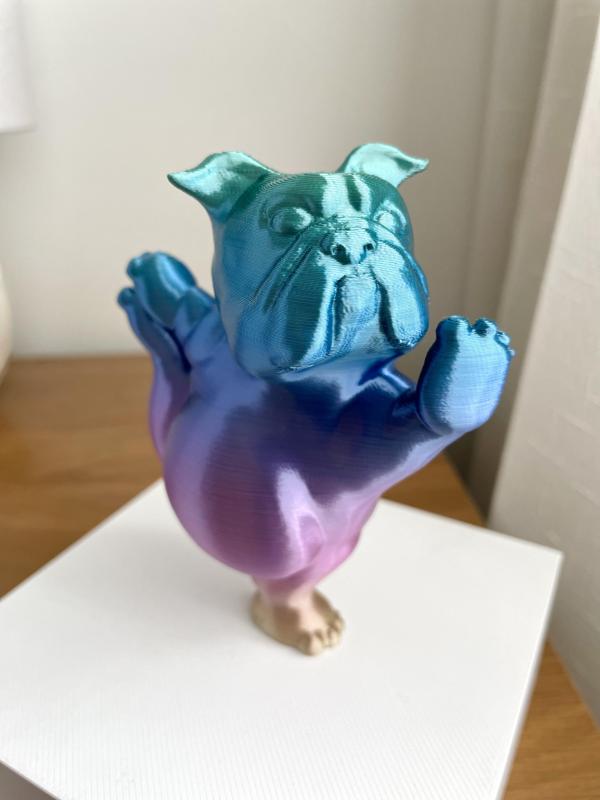 English Bulldog Dog Yoga Pose 2