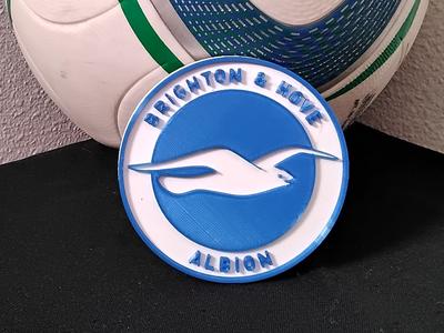 Convex Brighton & Hove Albion coaster or plaque