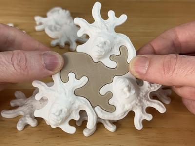 Interlocking Einstein Monotile