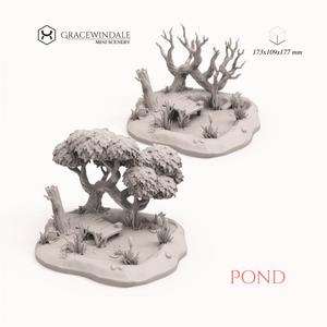 Pond