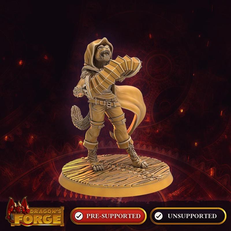 Ballawaul Katmandari Bard - Accordion