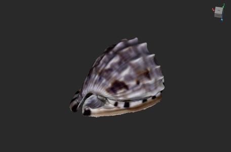 King Helmet Shell