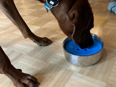 Spillprotection for waterbowl