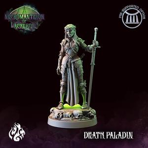 Death Paladin