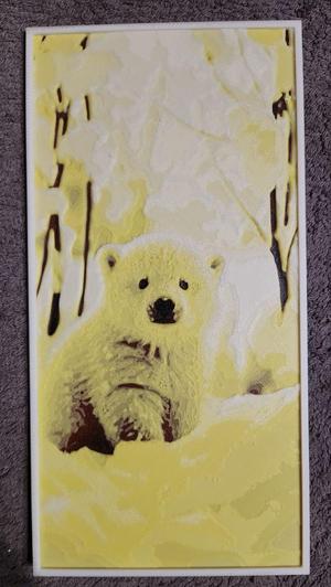 Polar bear cub - HueForge