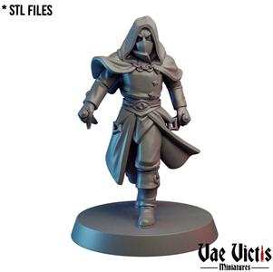 Dark Rogue [PRE-SUPPORTED]