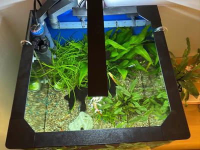 Fish Jump Guard for Dennerle NanoCube 60 (60L)