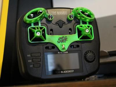 TBS Mambo Gimbal & Switch Protector