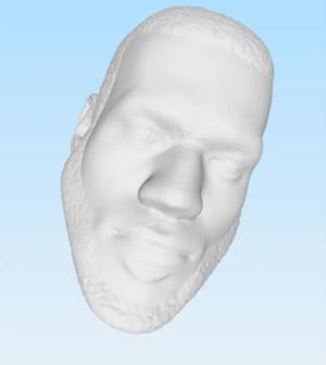 Lebrons James head