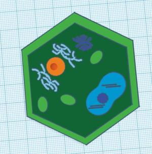 Plant Cell (Basic)