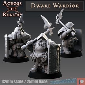 Dwarf Fighter