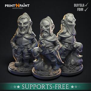 3 Gnome Thieves