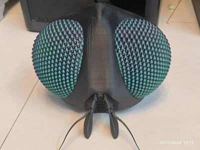 FLY HEAD MASK