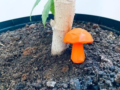 Cute Mushroom